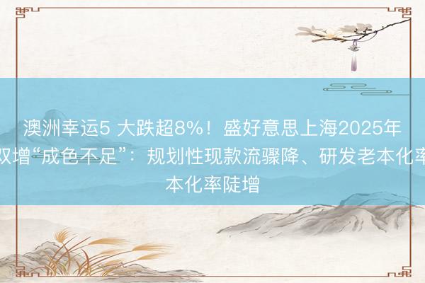 澳洲幸運(yùn)5 大跌超8%!盛好意思上海2025年牟利雙增“成色不足”:規(guī)劃性現(xiàn)款流驟降、研發(fā)老本化率陡增